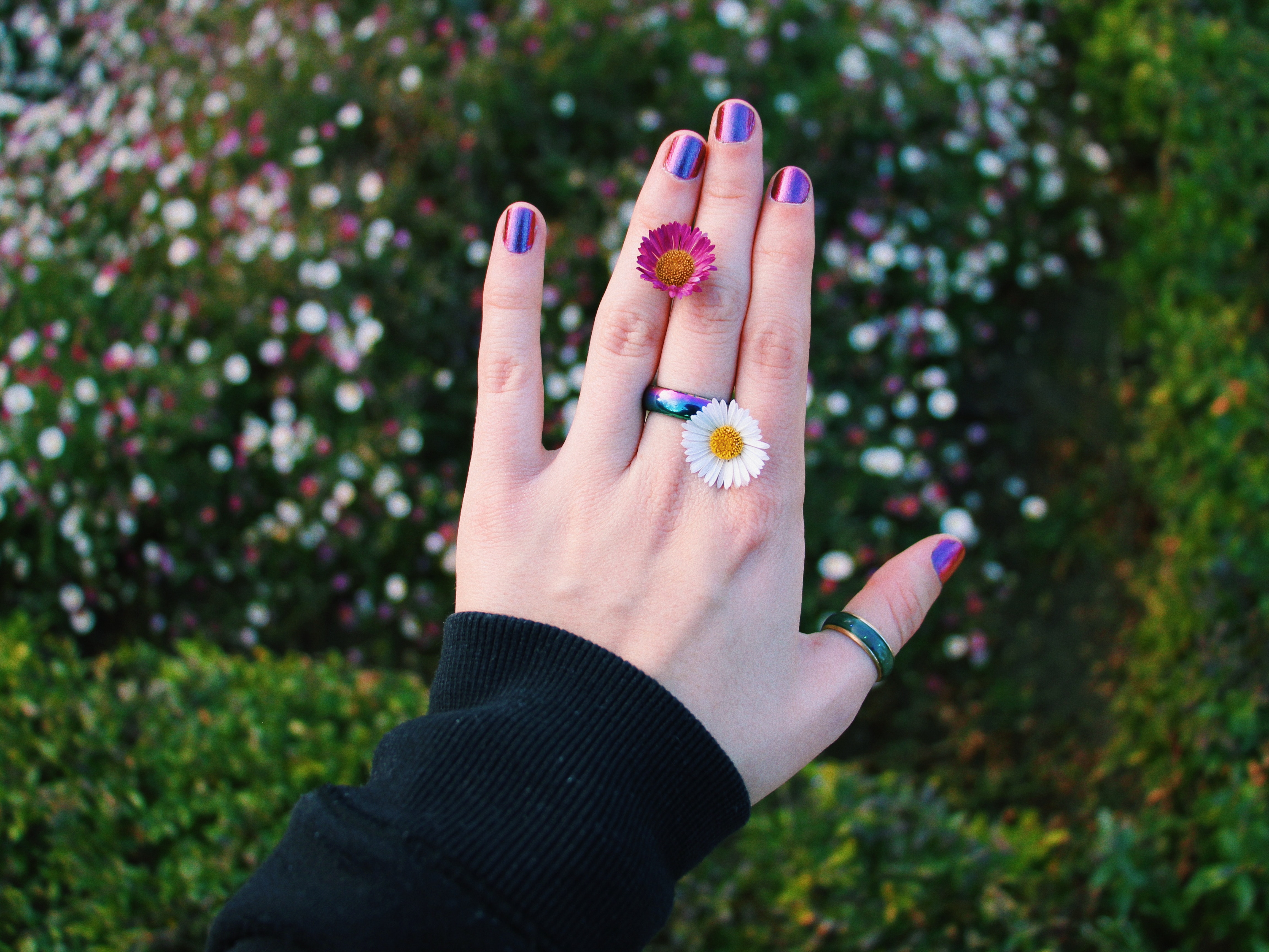 Polished Nails Photo